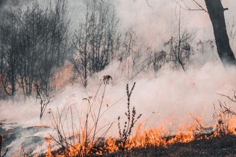 smoke_and_bushfire_thumbnail