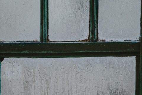 window_condensation_thumbnail